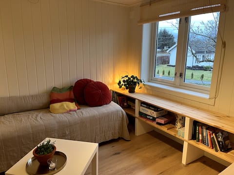 Successful Airbnb property: Cozy studio apartment in Kinn