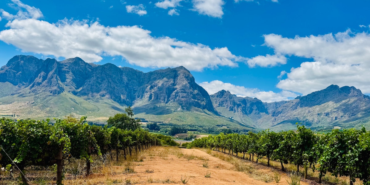A scenic view of a vineyard stretches across the foreground, with rows of grapevines leading toward majestic mountain peaks in the background. The clear blue sky is dotted with soft, white clouds, creating a serene atmosphere.