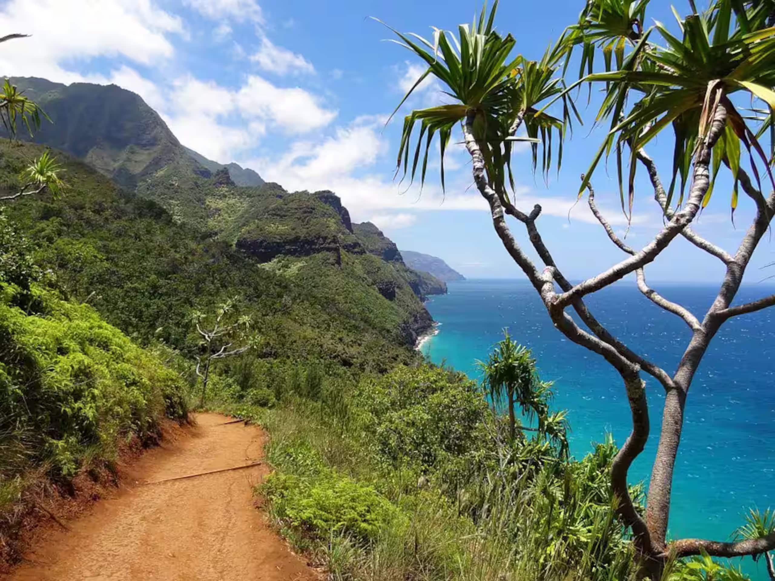 Home in Princeville · ★4.73 · 3 bedrooms · 5 beds · 2 private baths - Image 40