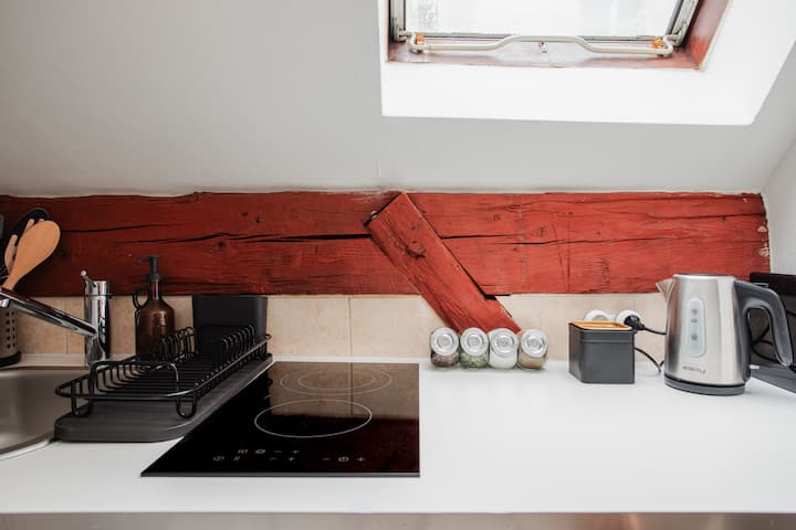 Historic Micro Loft On Amazing Location Old Town - Ljubljana