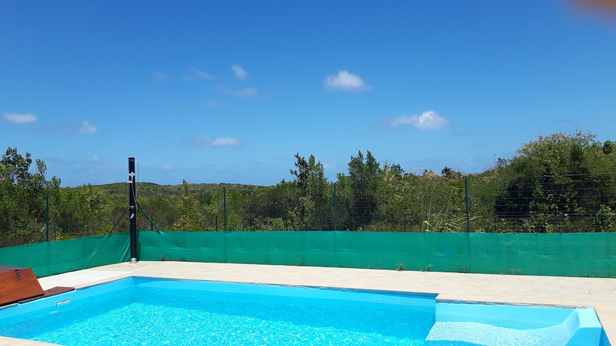 A tranquil salt-water pool is presented against a backdrop of clear blue skies and lush greenery. The pool area features a light-colored stone deck and a safety fence, creating a serene environment for relaxation and enjoyment of the natural surroundings.