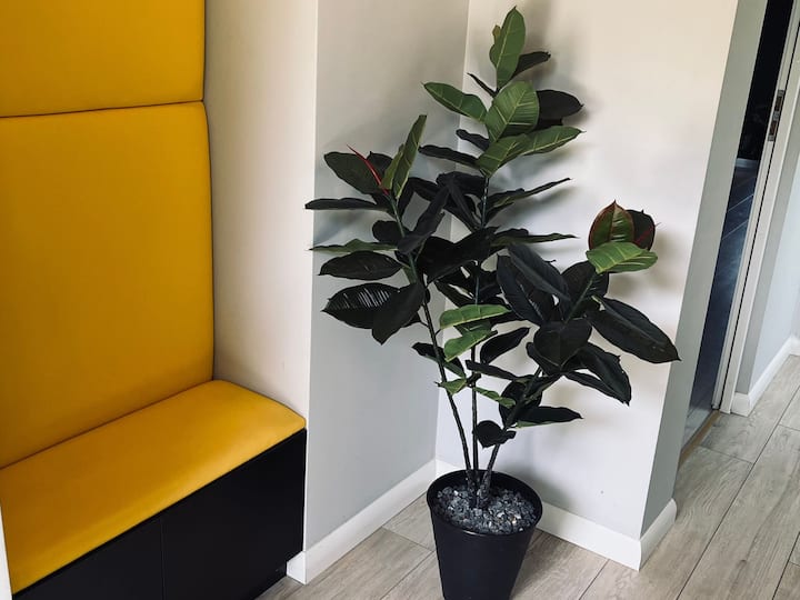 Apartament Z Dużymi Tarasami Ogród Centrum Lublin - Lublin