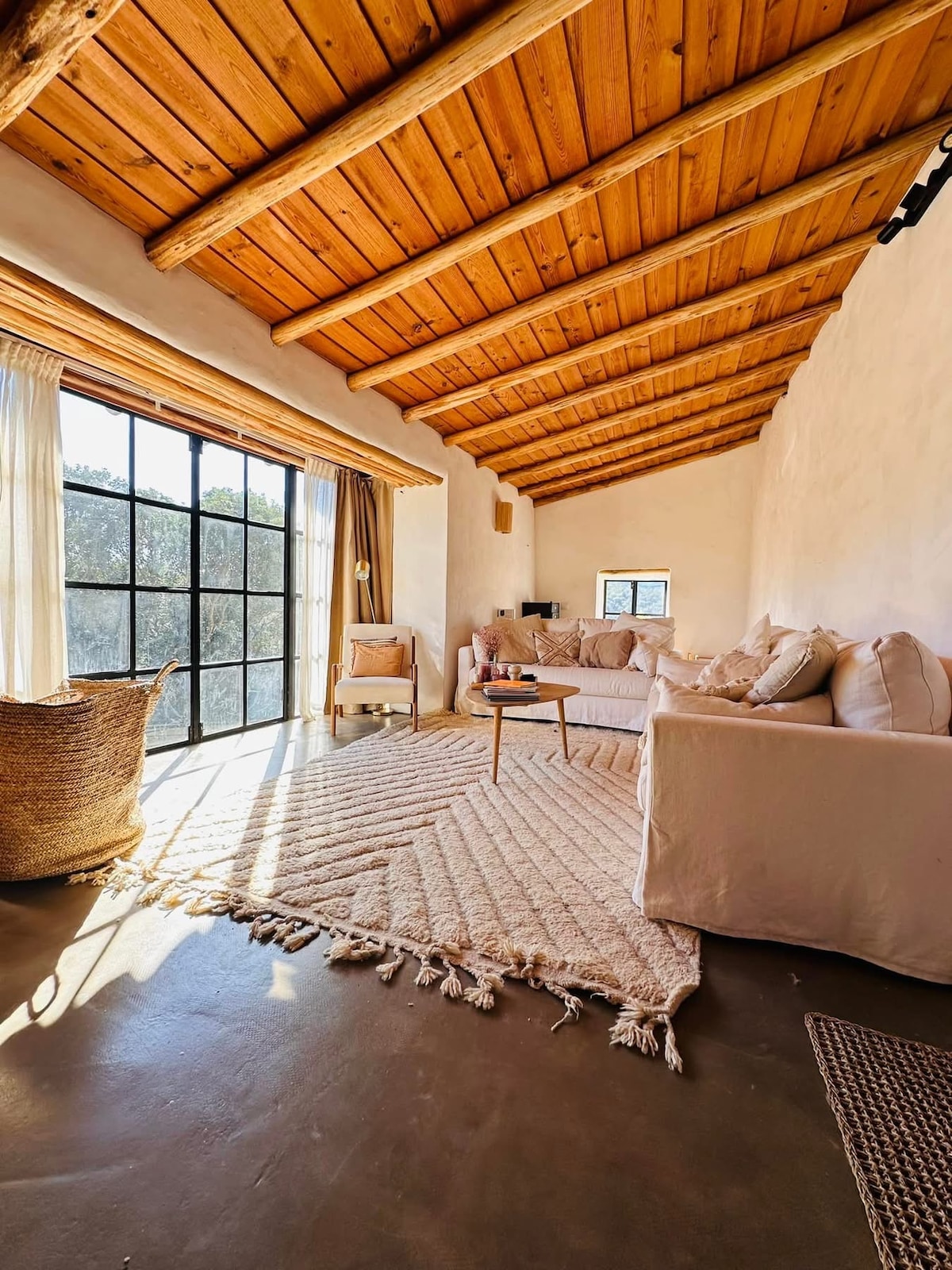 A sunlit living area features a spacious white sofa adorned with cushions. Tall windows invite natural light, illuminating the room's warm wooden ceiling. A woven area rug adds texture to the concrete floor, complemented by a small coffee table and a cozy armchair.