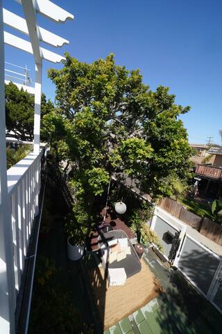 Marina Del Rey Beach House gallery image 4