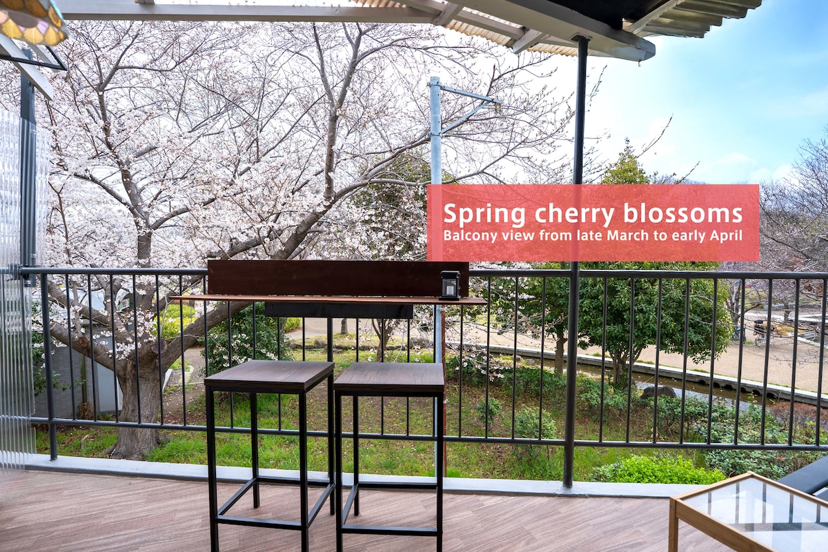 A balcony with two high stools provides a view of blooming cherry blossom trees, typically visible from late March to early April. The surrounding greenery enhances the natural setting, encouraging relaxation and enjoyment of the seasonal scenery.