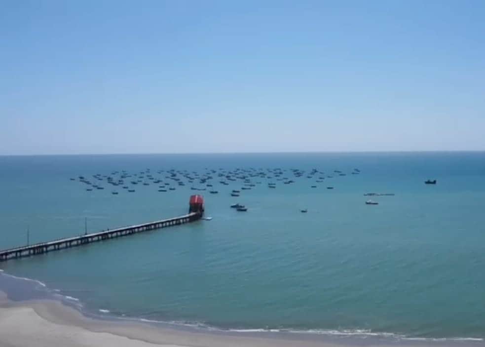 The image depicts a serene coastal scene featuring a long pier extending into calm turquoise waters. Numerous fishing boats are scattered across the horizon, creating a peaceful marine landscape beneath a clear blue sky.