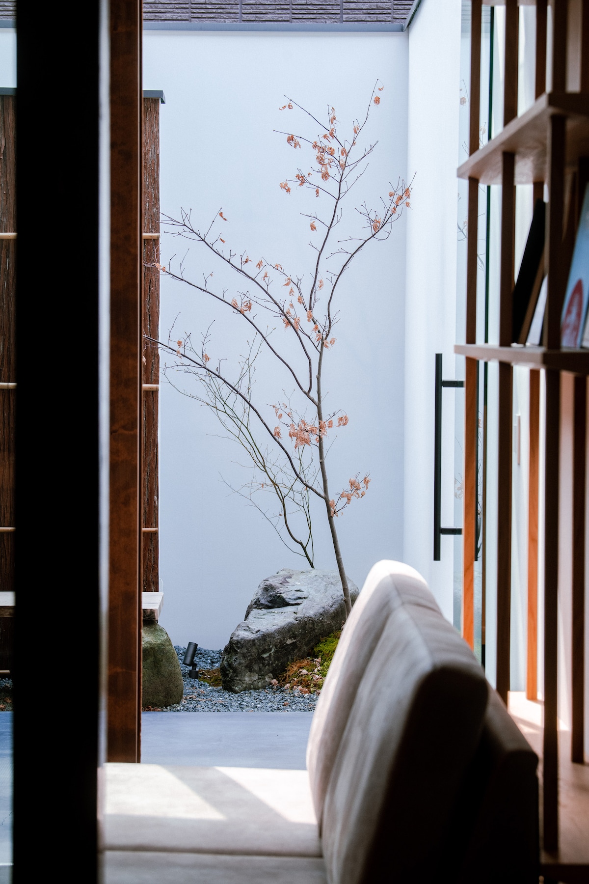 A serene outdoor view is captured through a framed entrance, featuring a slender, leafless tree alongside a natural rock formation. The calmness of the space is complemented by simple details visible in the nearby wooden shelving.