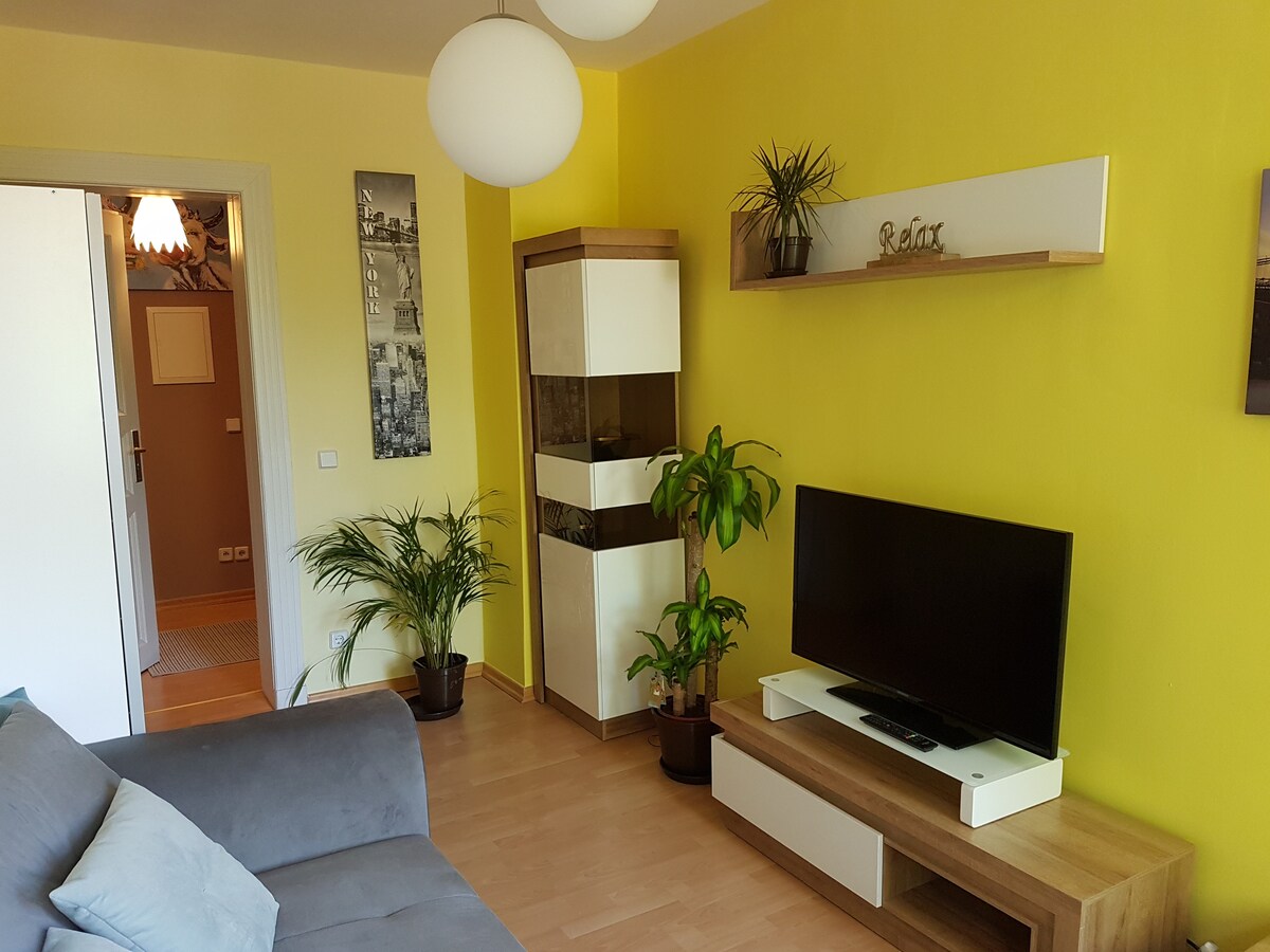 Top Airbnb: Large, bright, modern apartment for up to 9 people in Dölitz Dösen