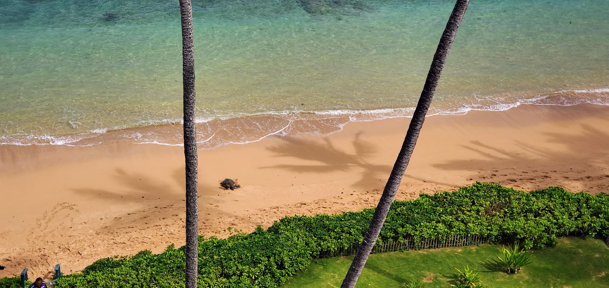 Condo in Hauula · ★4.88 · 3 bedrooms · 8 beds · 2 private baths - Image 48