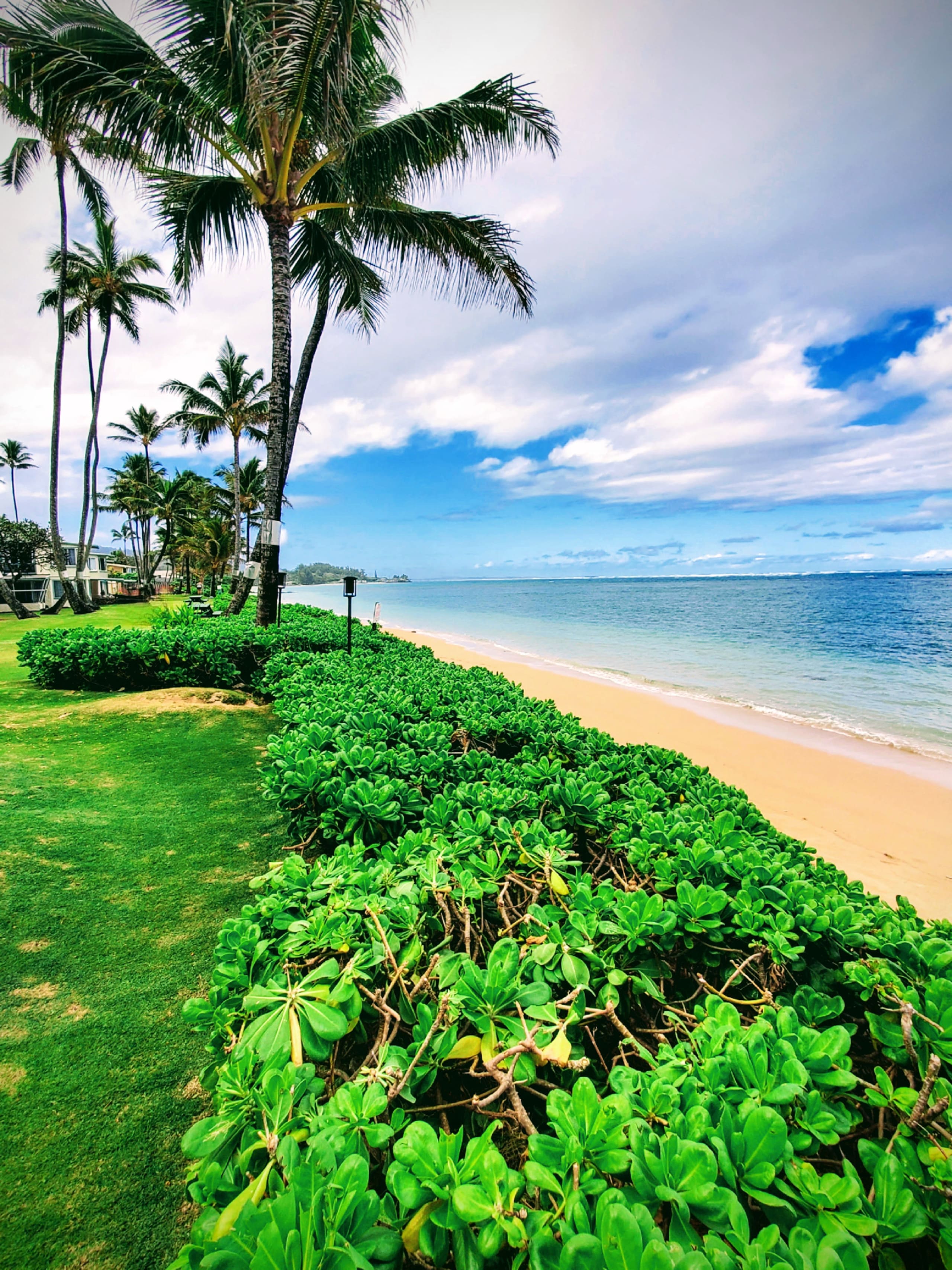 Condo in Hauula · ★4.88 · 3 bedrooms · 8 beds · 2 private baths - Image 49