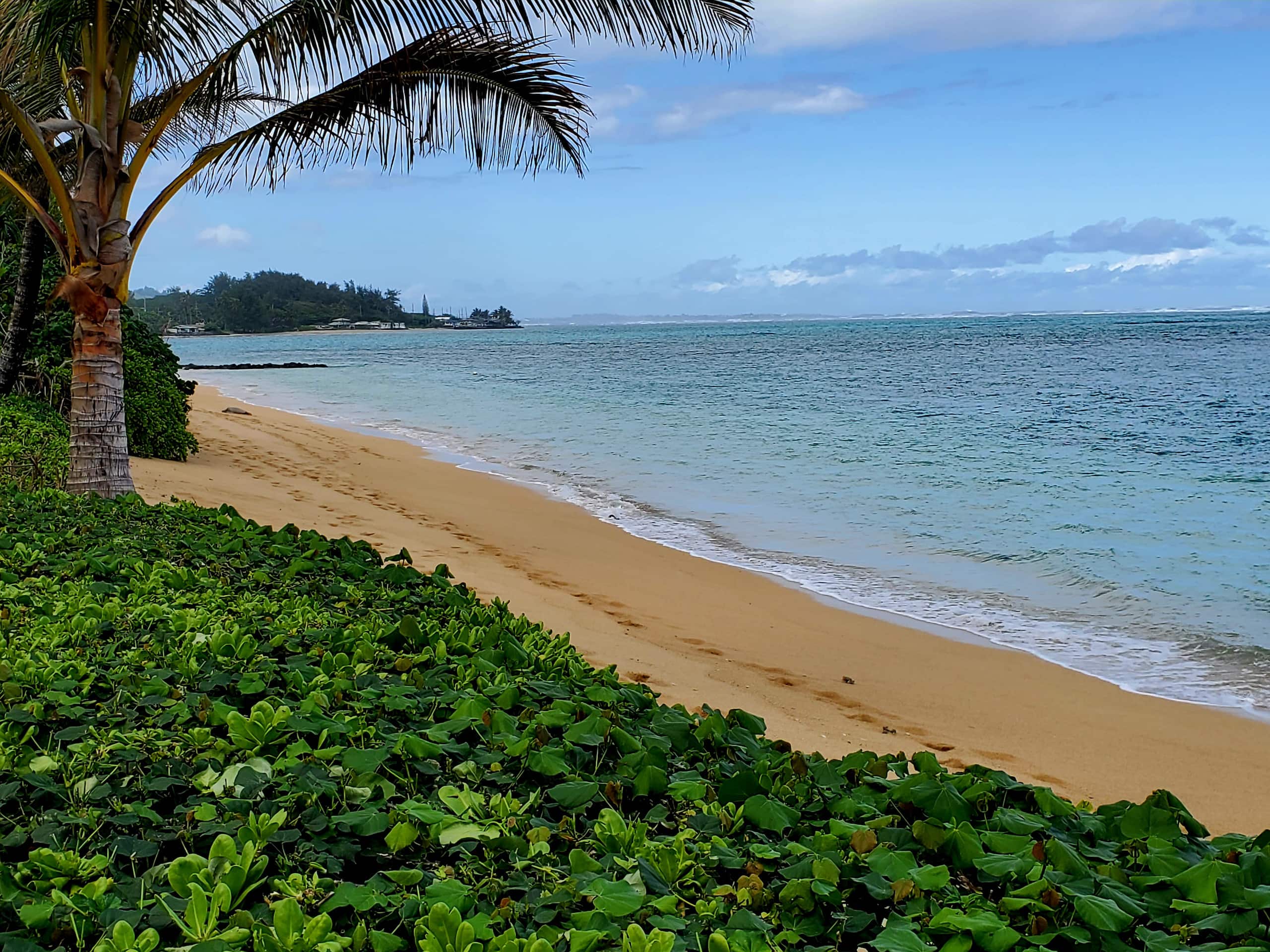 Condo in Hauula · ★4.88 · 3 bedrooms · 8 beds · 2 private baths - Image 46