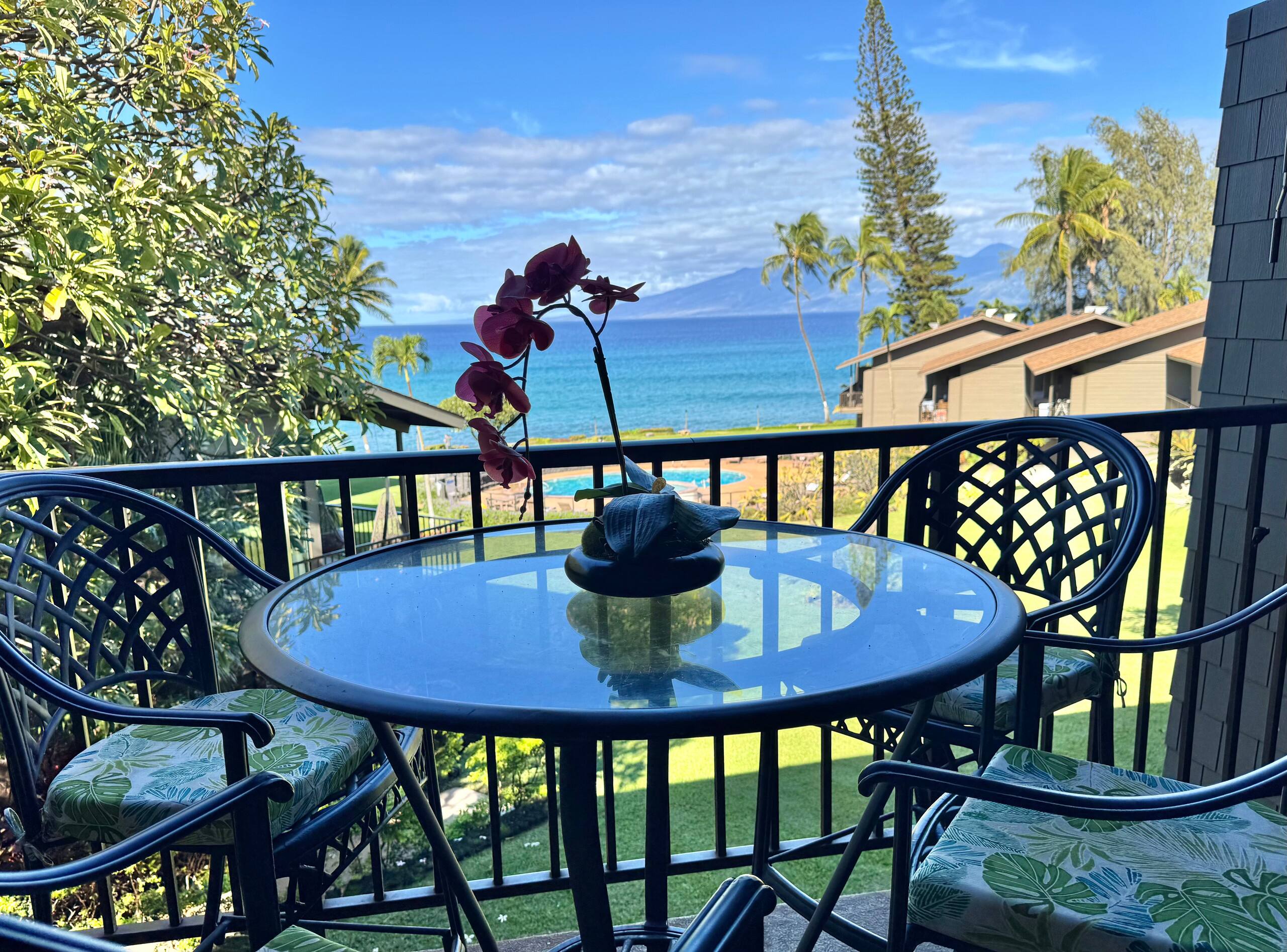 West Maui Oceanfront 2BR Oceanview. AC - Image 18