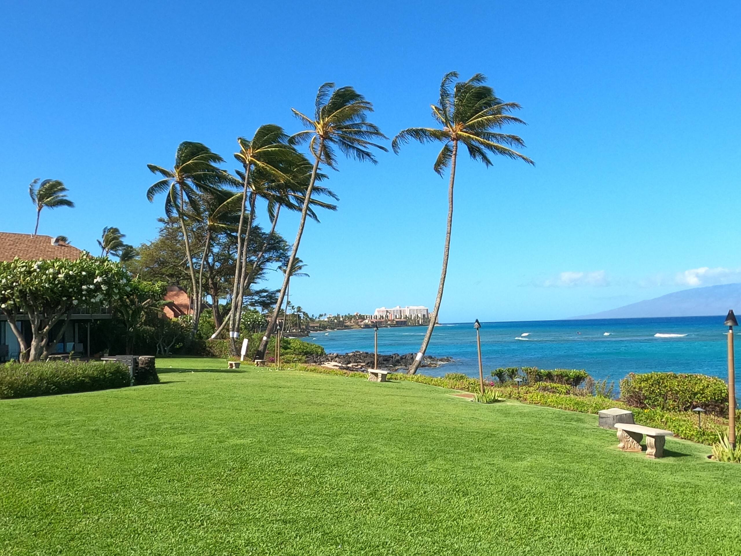 West Maui Oceanfront 2BR Oceanview. AC - Image 20