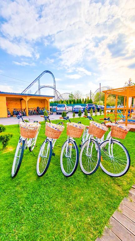 Five white bicycles with wicker baskets are lined up on green grass, set against a backdrop of a roller coaster and several parked cars. A wooden structure and trees are visible in the area, creating a vibrant outdoor atmosphere.