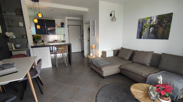 Panoramica Lake View Apartment With Terrace | 2 Br - Cólico