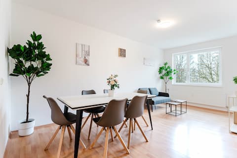 Cozy apartment in Linz