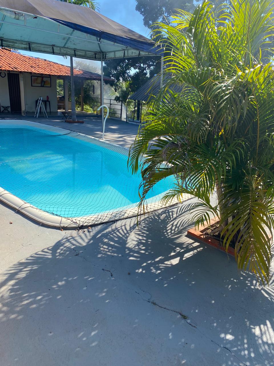 A sparkling pool with clear blue water is surrounded by a sunlit patio. Lush green palm leaves cast gentle shadows on the poolside, while a covered area in the background offers shade. The tranquil environment suggests a perfect spot for relaxation and leisure.