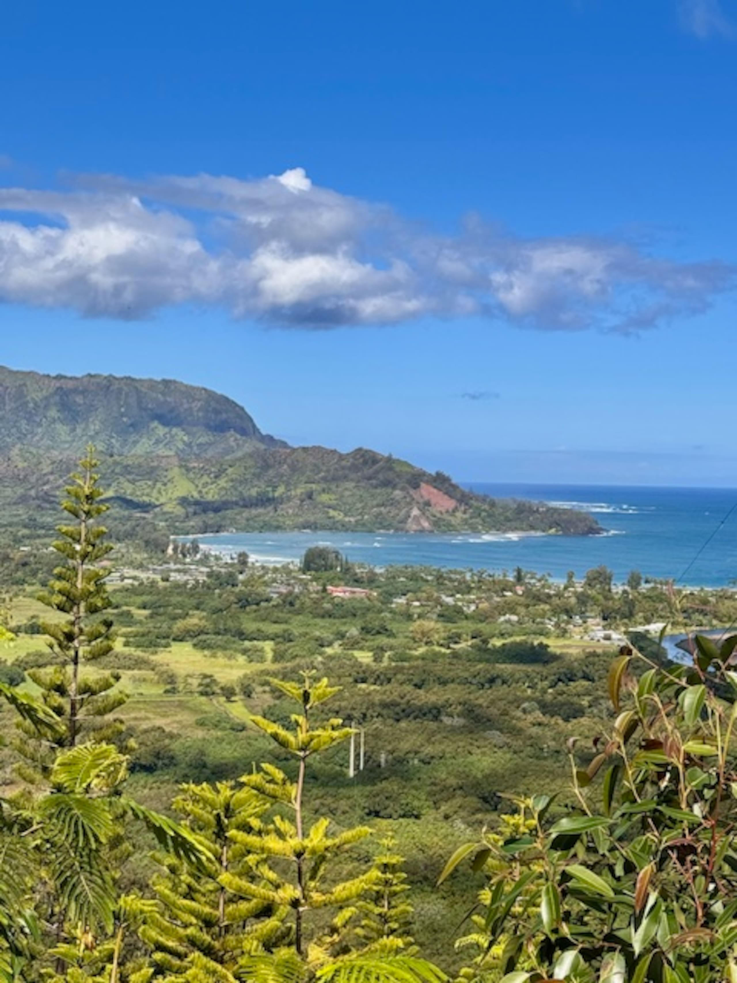 Home in Princeville · ★5.0 · 3 bedrooms · 3 beds · 3 baths - Image 56