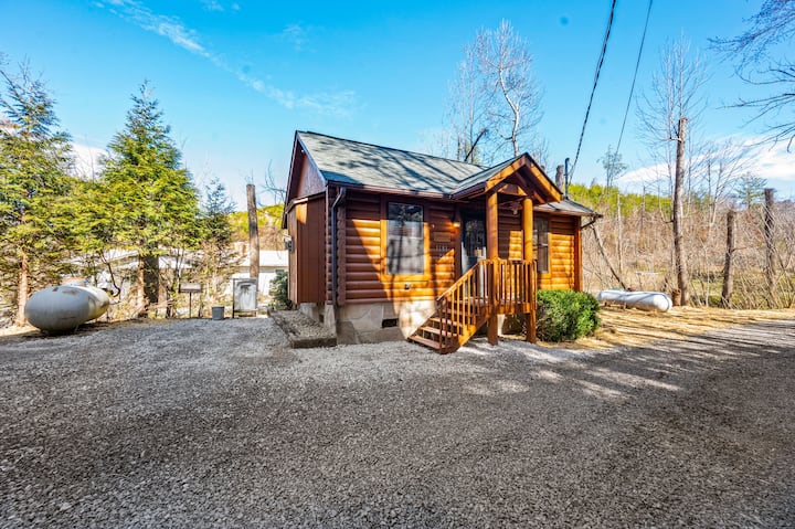 Romantic Bear Cabin w/ Hot Tub for Couples!