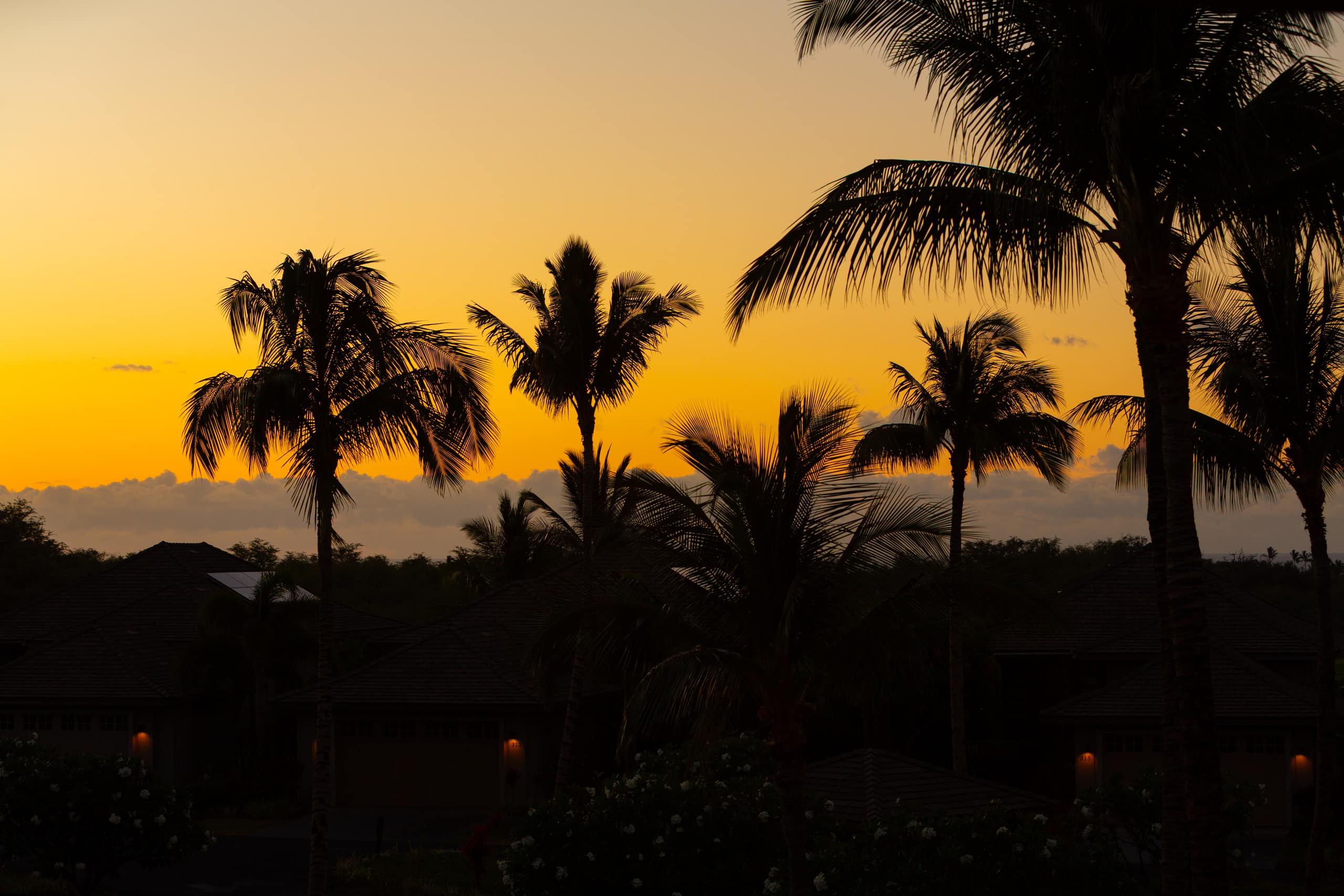 Home in Waimea · ★4.93 · 4 bedrooms · 7 beds · 3.5 private baths - Image 71