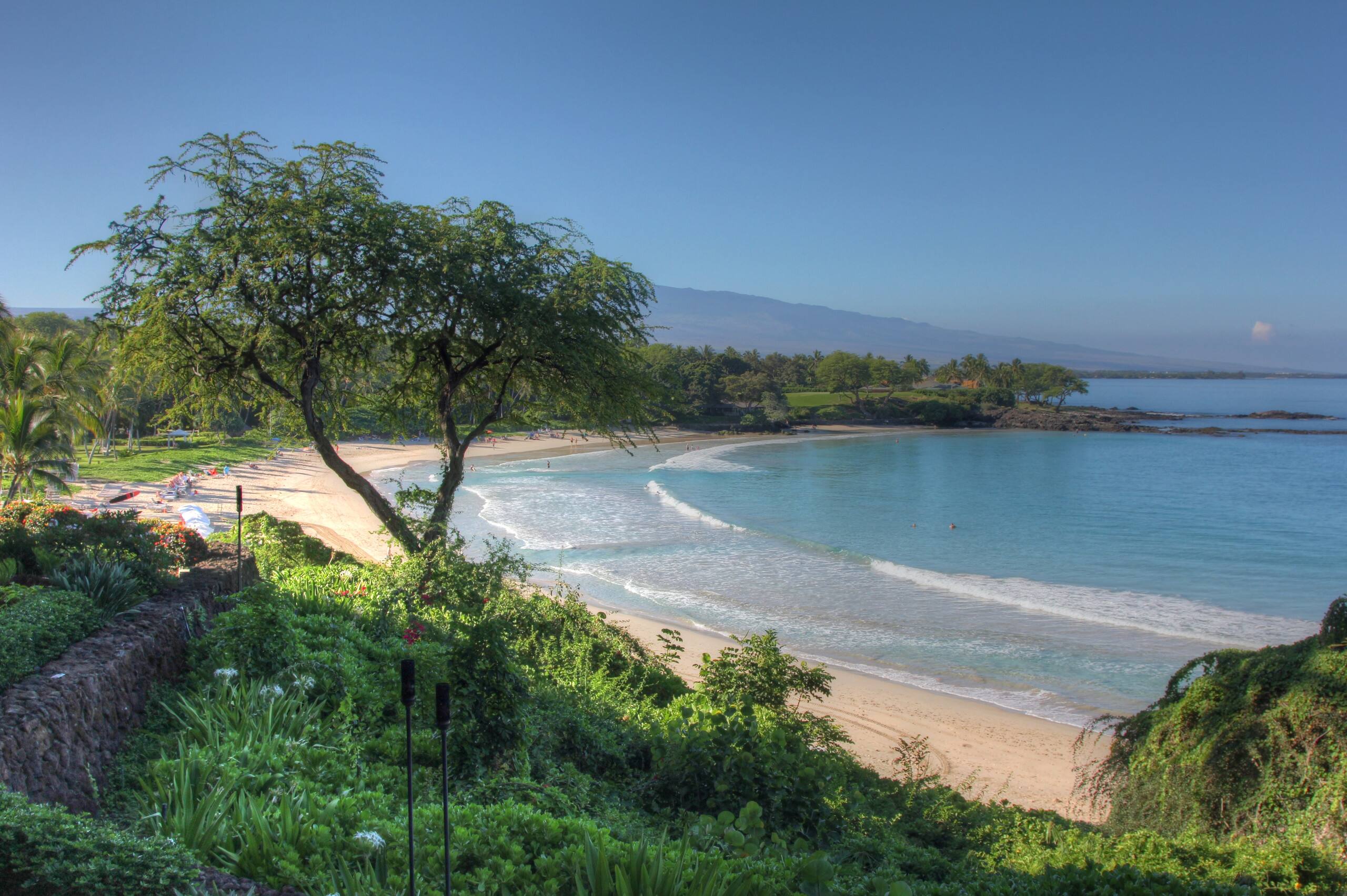 Home in Waimea · ★5.0 · 2 bedrooms · 3 beds · 2 baths - Image 38