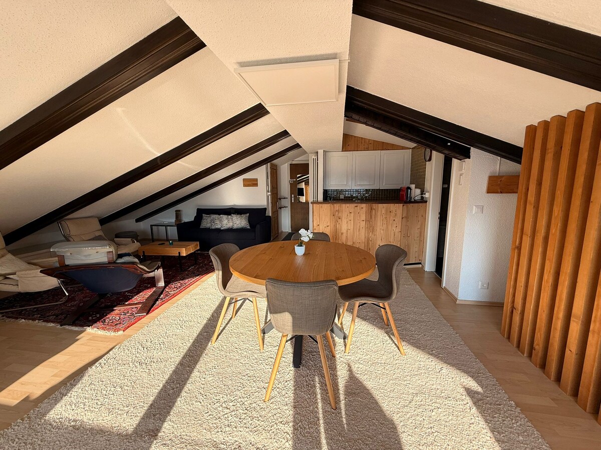 Top performing Airbnb: Beautiful 44 m2 studio in Les Collons, Ski-In&Out in Vex
