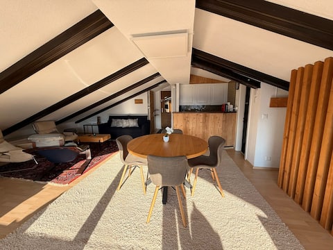 Top performing Airbnb: Beautiful 44 m2 studio in Les Collons, Ski-In&Out in Vex