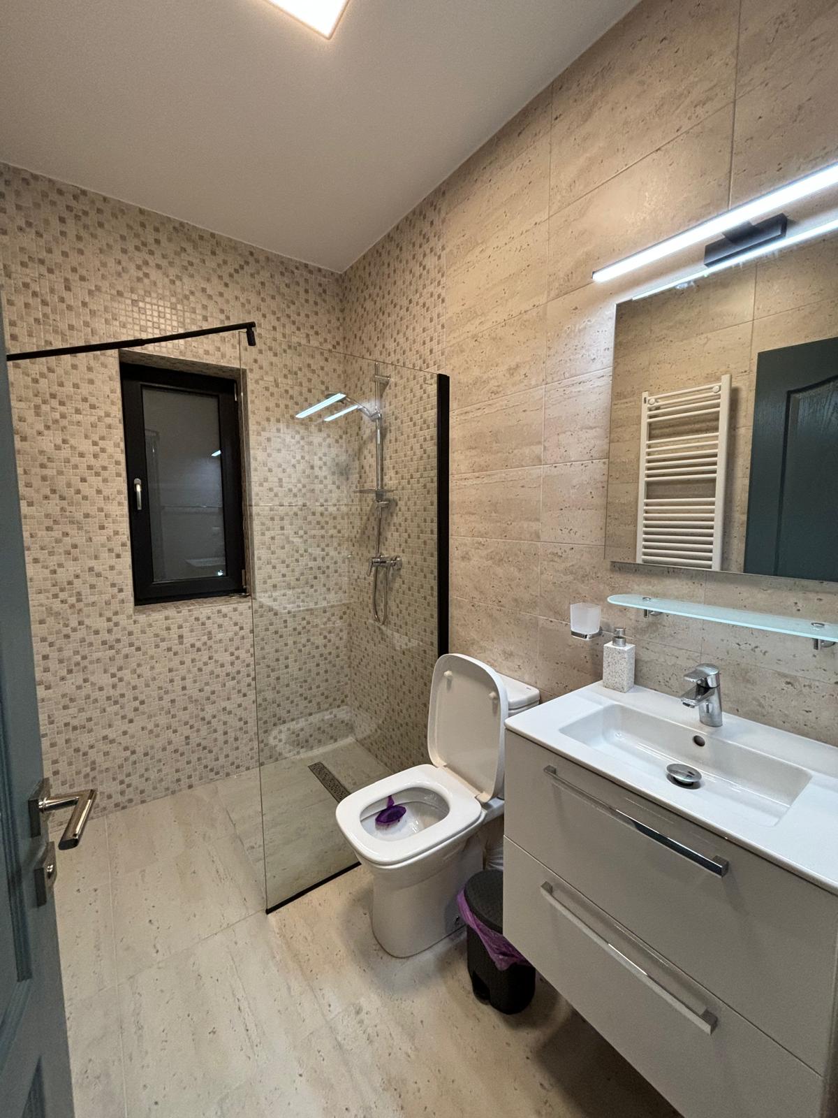 A modern bathroom features a walk-in shower with clear glass panels and a sleek rainfall showerhead. A compact toilet is positioned beside a contemporary vanity with a white sink and storage below. Natural light filters in through a small window, enhancing the clean lines of the design.