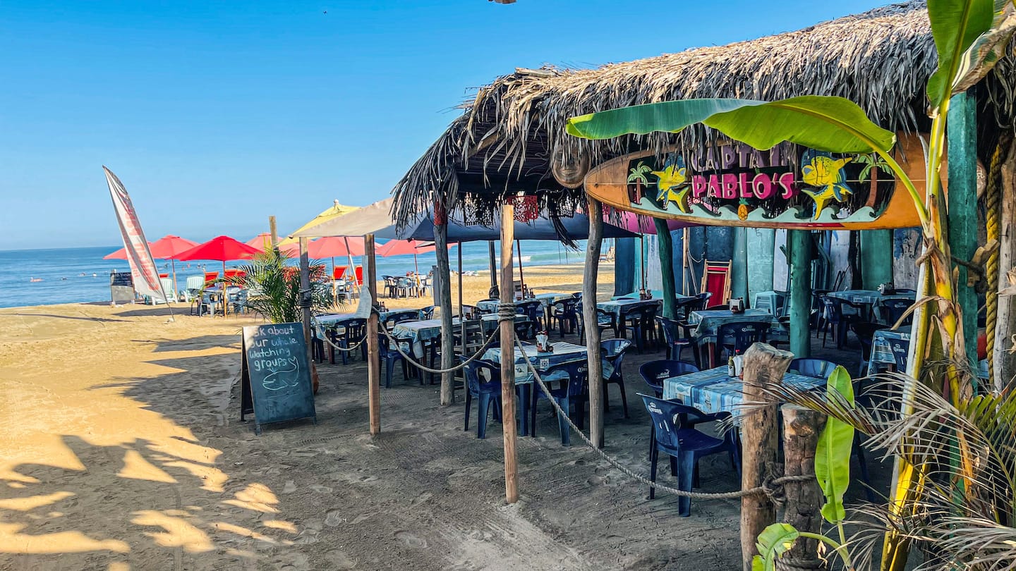 Grab lunch at Captain Pablo's right on the beach.