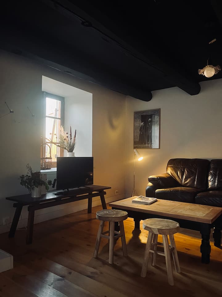 Belle Maison En Pierre, Au Calme - Ambert