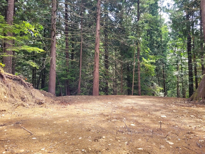 Tent/car Camping Site B - 吉布森斯