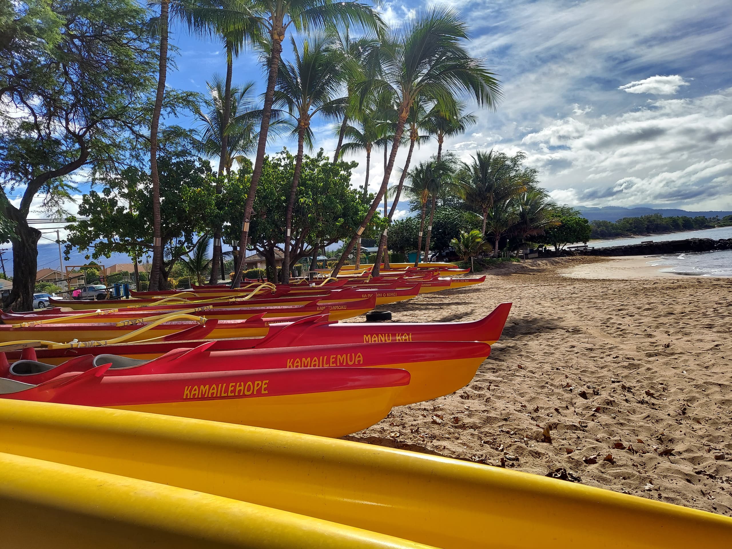 Condo in Kihei · ★4.85 · 1 bedroom · 3 beds · 2 baths - Image 17