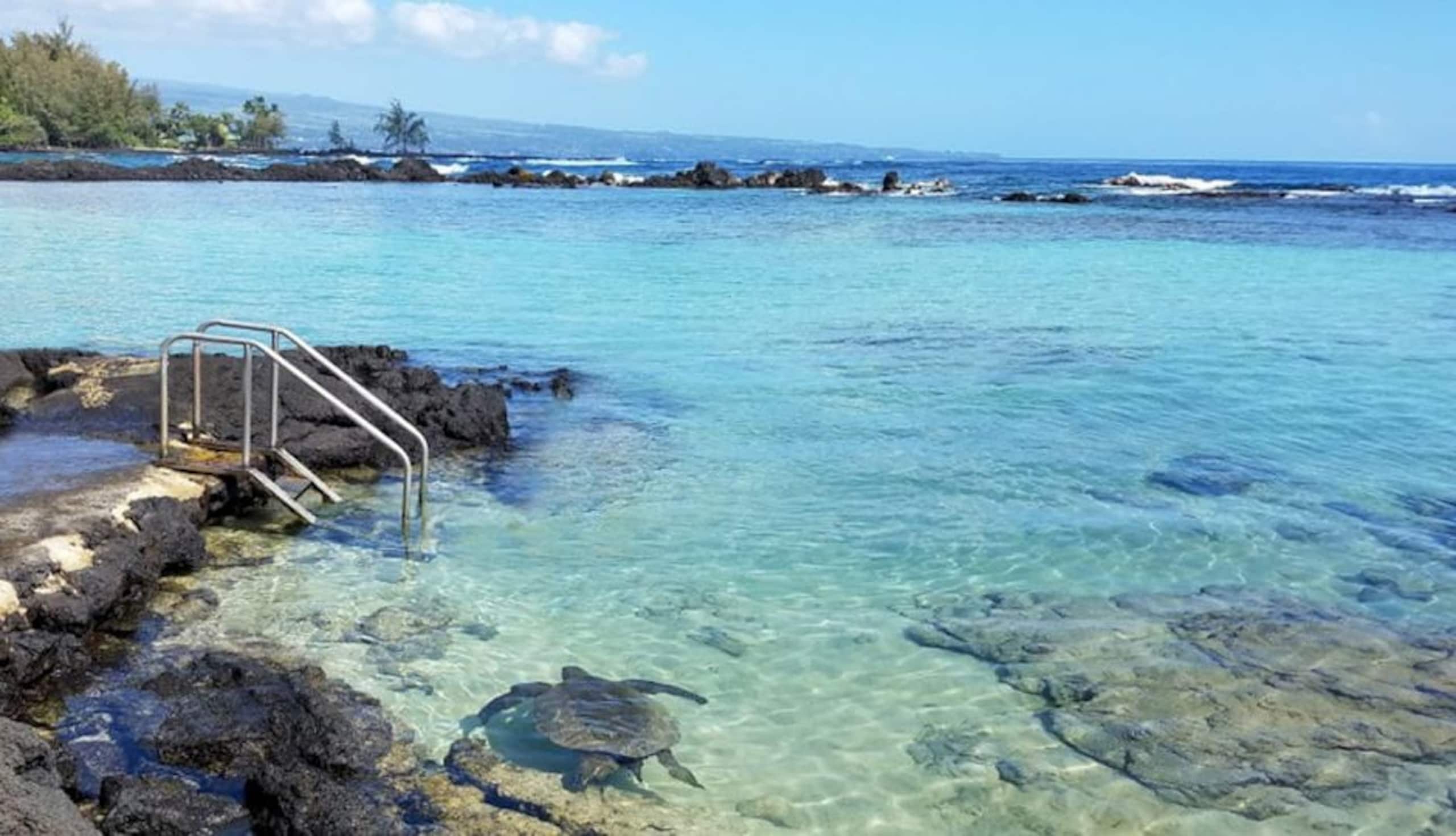 Completely Private Hilo Condo, Convenient Location - Photo 27