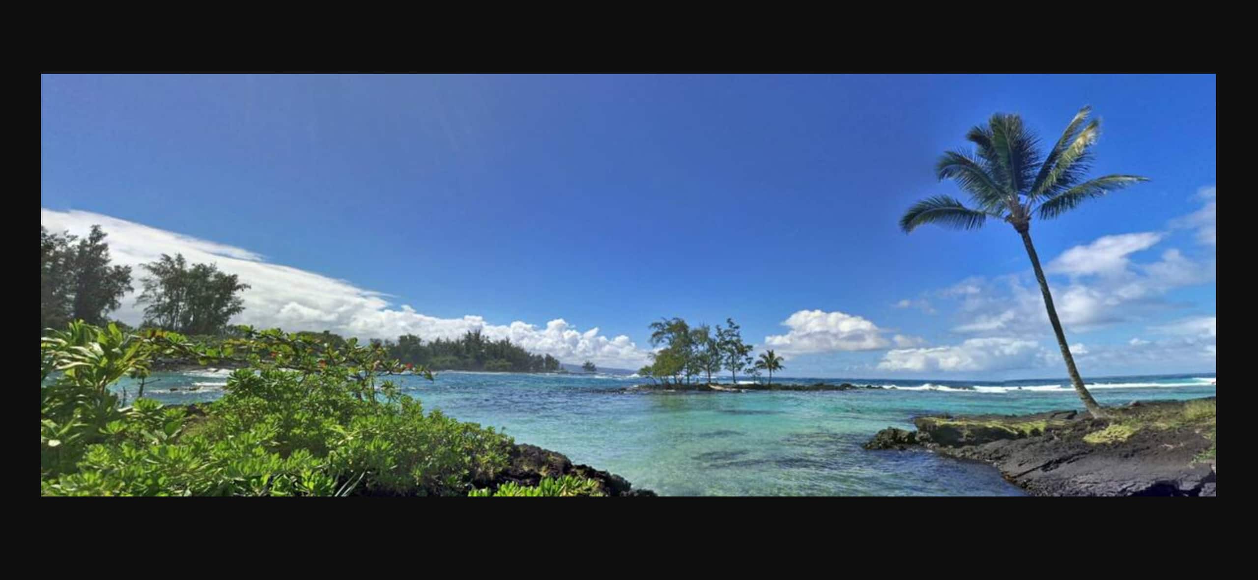 Completely Private Hilo Condo, Convenient Location - Photo 22