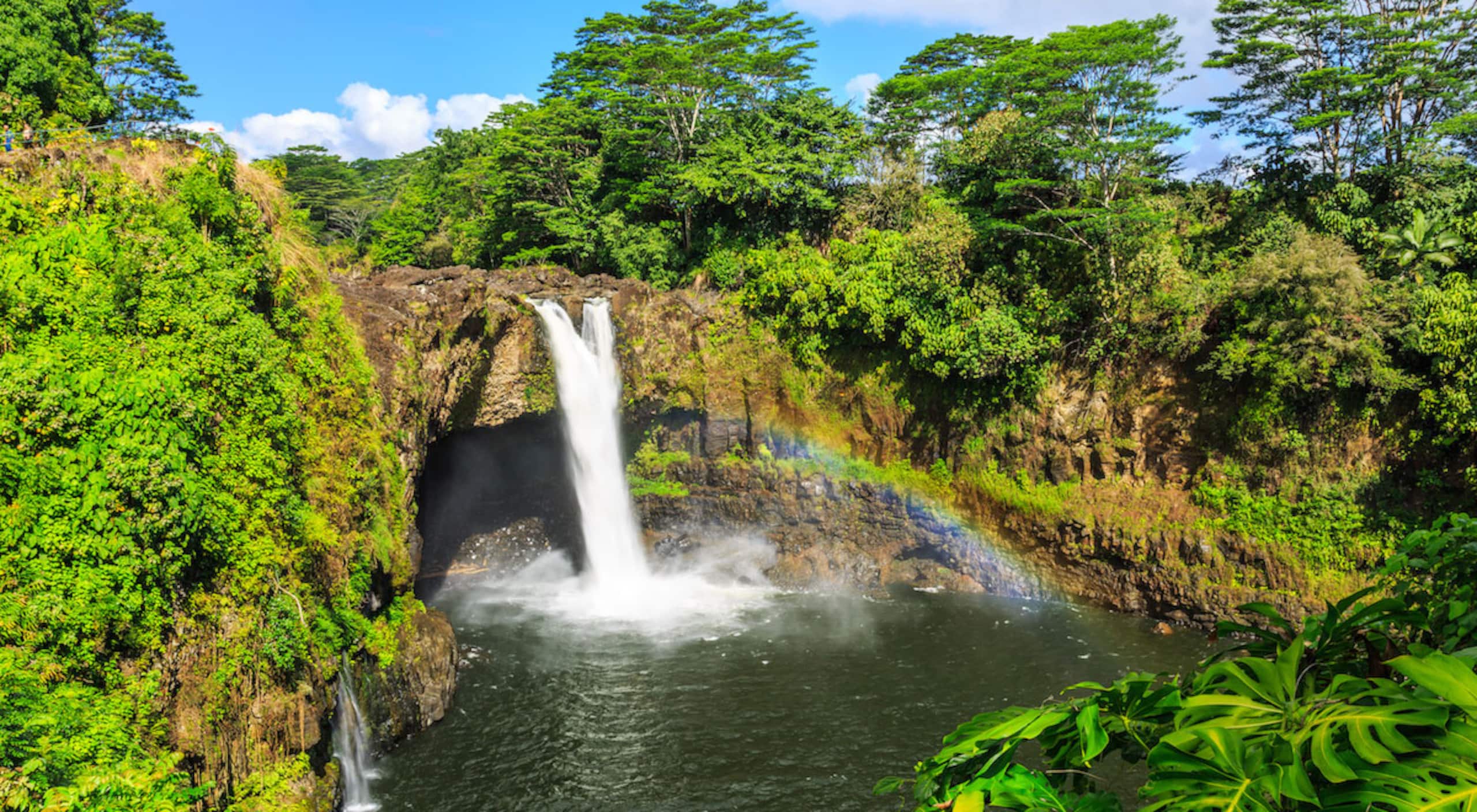 Completely Private Hilo Condo, Convenient Location - Photo 25