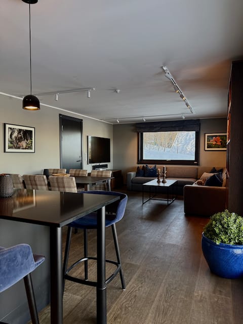 Successful Airbnb property: Great apartment. Newly renovated, spacious and with a view! in Hol