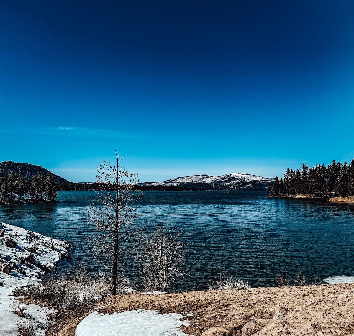 A serene lakeside view reveals calm waters, bordered by snow-dusted land. Leafless trees stand along the shoreline, contrasting against the deep blue sky. Rolling hills can be seen in the distance, creating a peaceful backdrop to this tranquil scene.