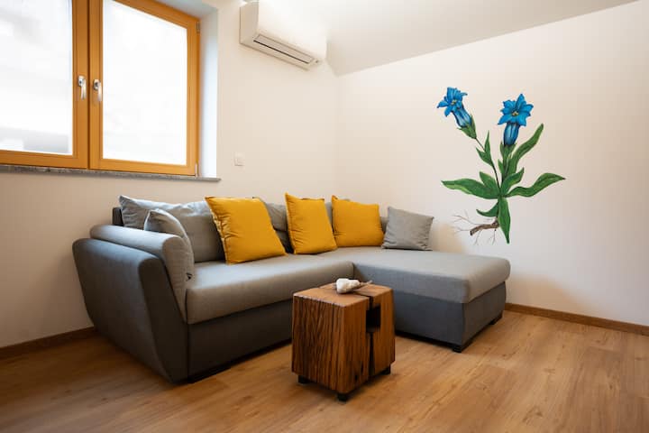 Pr ŠTepiherju - Apartma Encijan - Luče