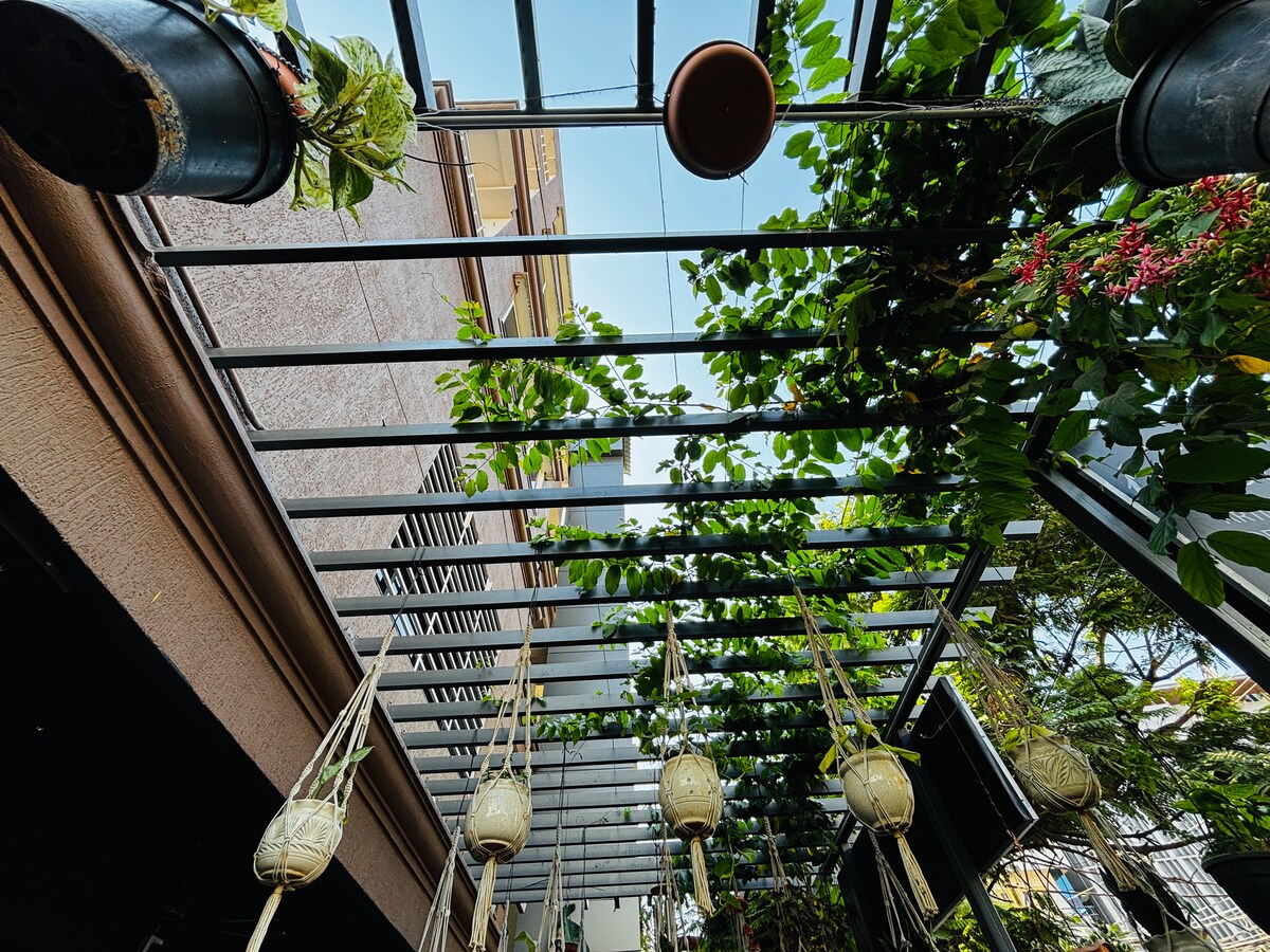 A canopy of greenery is created by a lattice structure adorned with hanging planters. Various plants cascade down, while sunlight filters through, illuminating the outdoor space. The structure adds a touch of natural charm to the surrounding area.