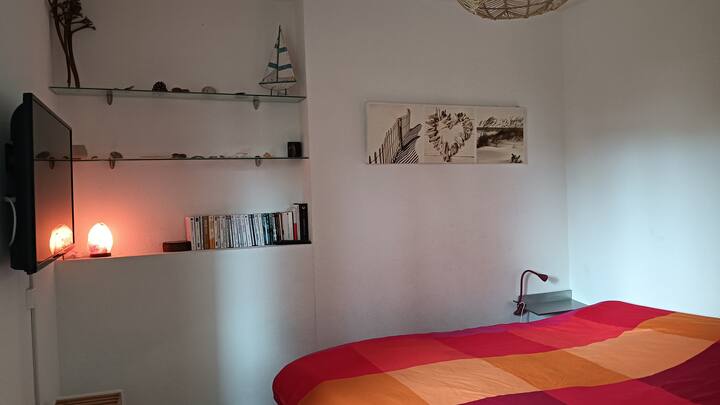 спална соба со 140 кревета и телевизор (ТНТ)