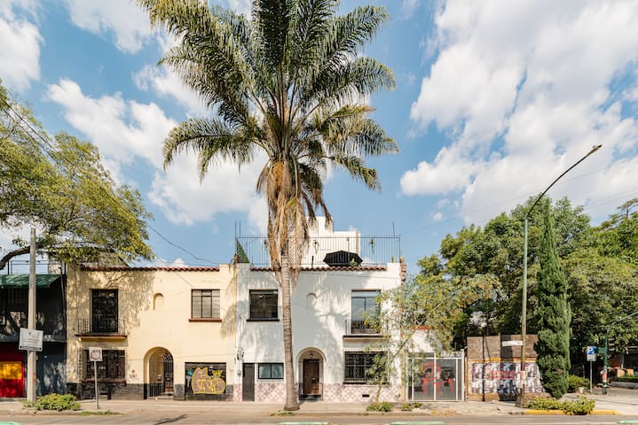 Comfortable Home in Roma Norte