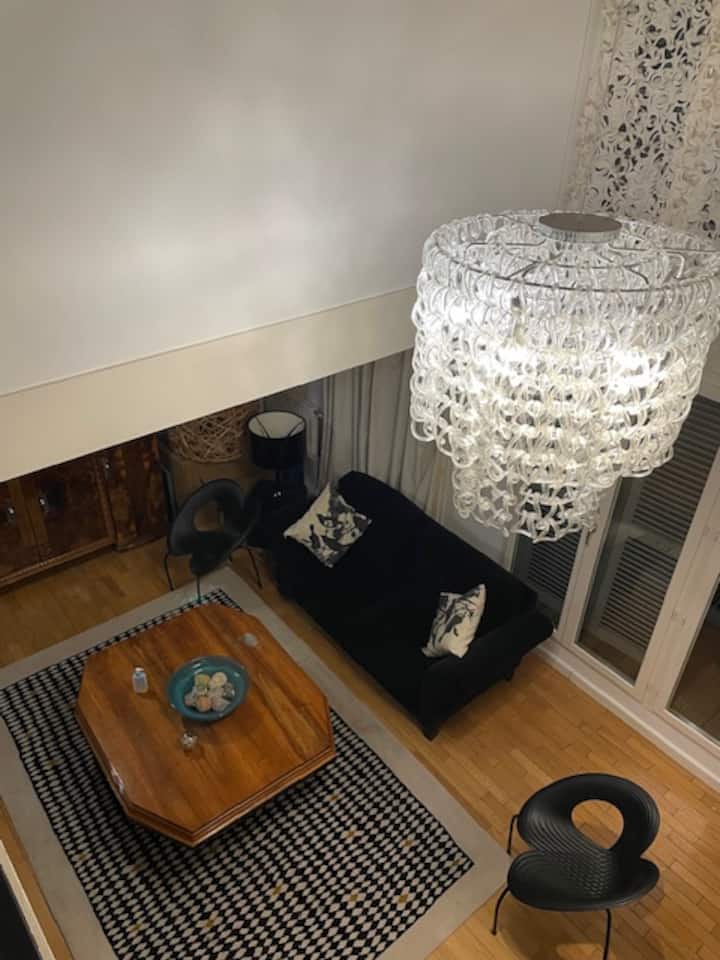 Appartement Duplex De Standing - ボルドー