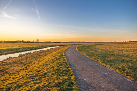Popular Airbnb listing: View of the meadow in Zuid Holland