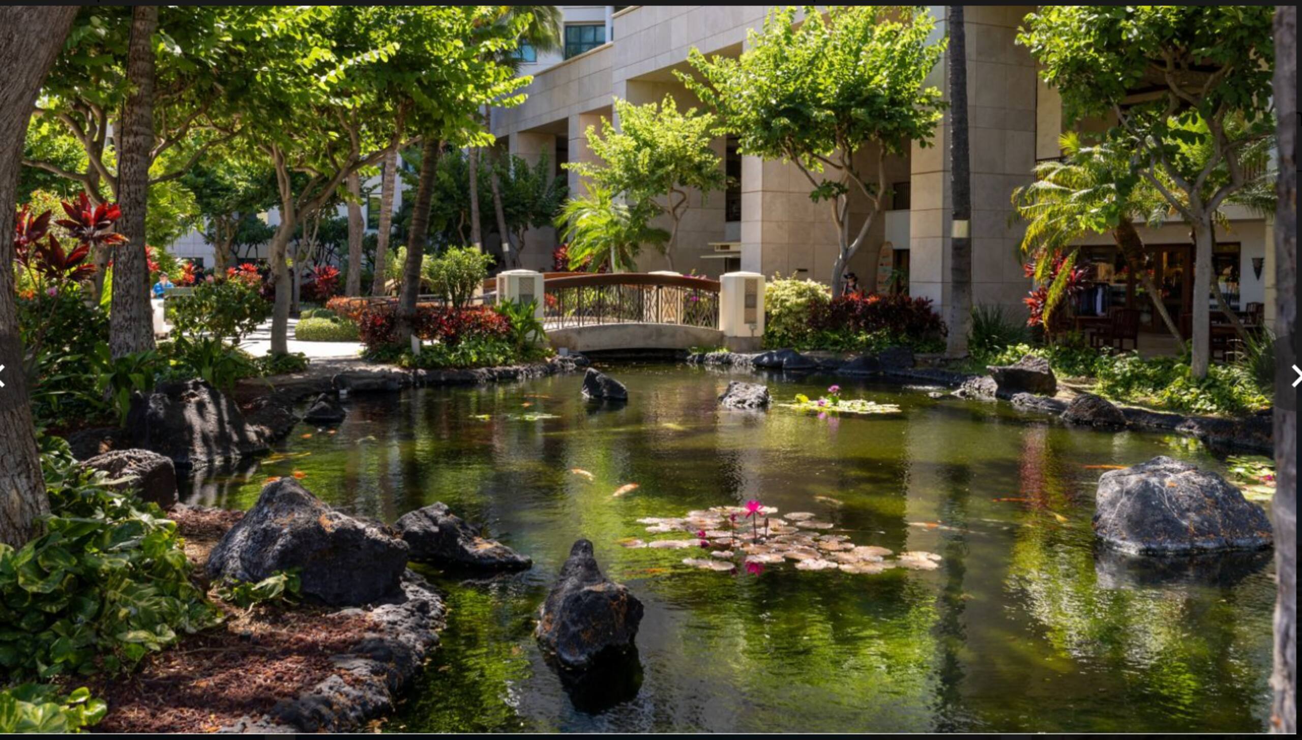 Marriott Ko'Olina Beach Club-Mountain View Studio - Image 21