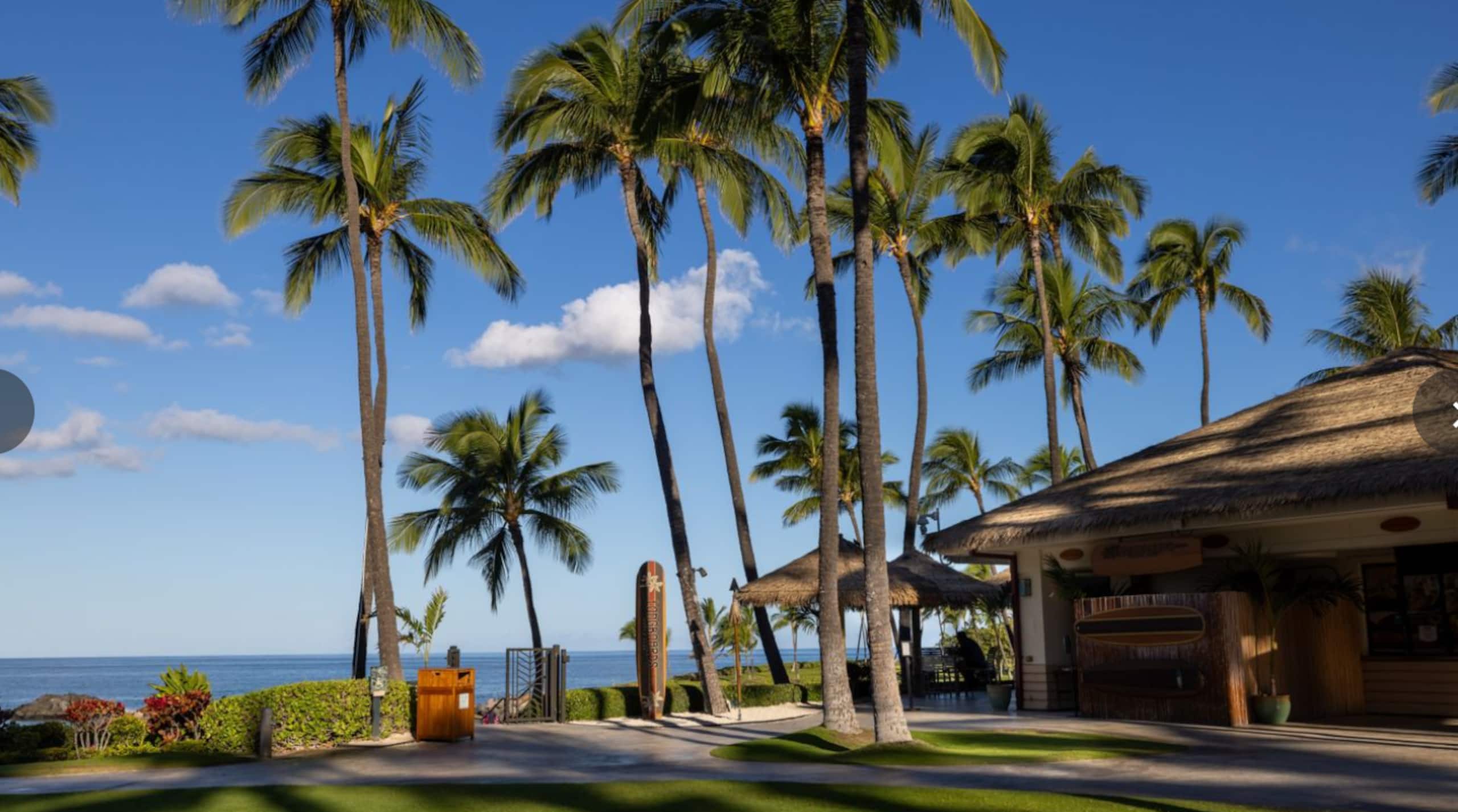 Marriott Ko'Olina Beach Club-Mountain View Studio - Image 14