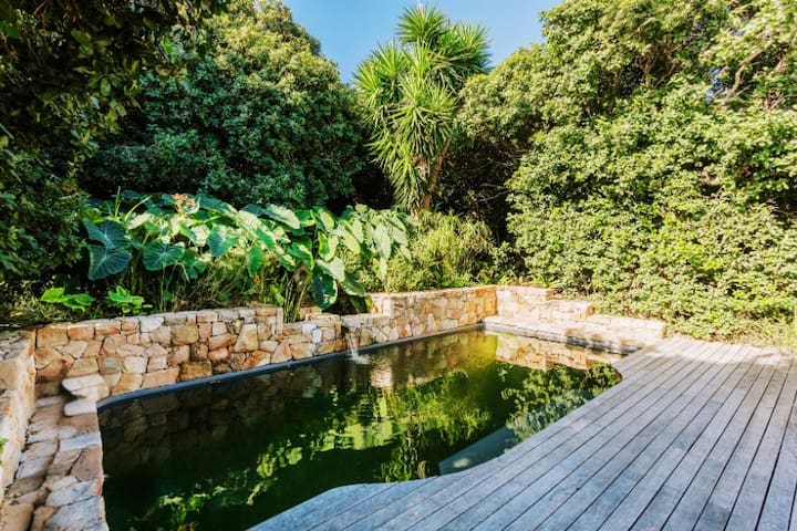 Silands – Nature Retreat – Noordhoek gallery image 4