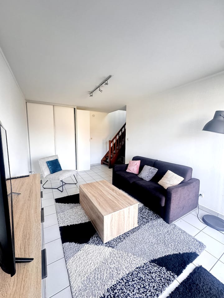 Duplex Paisible, Avec Terrasse Colmar - Colmar