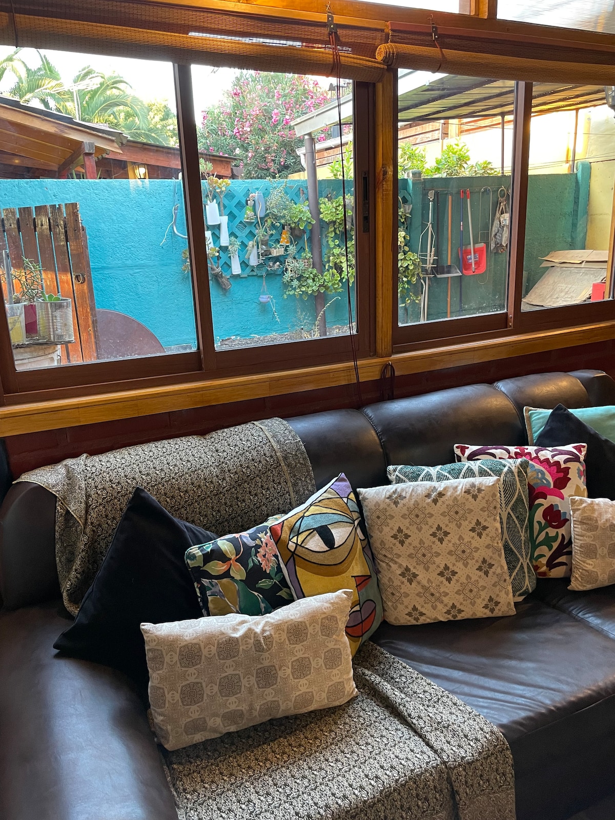 A cozy seating area features a dark leather couch adorned with an assortment of decorative pillows in various patterns and colors. Large windows provide a view of a vibrant outdoor space with greenery and a blue wall in the background.