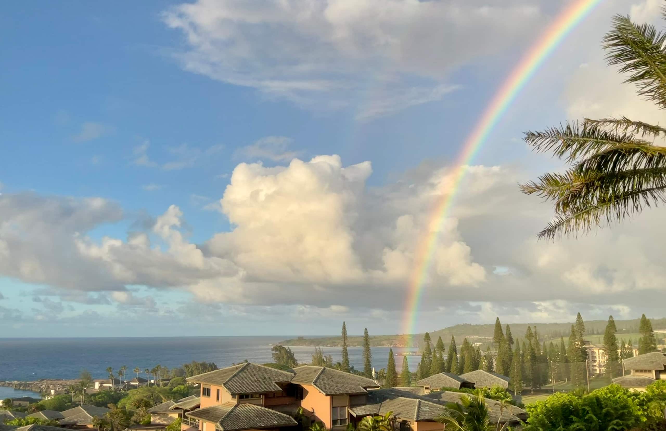 Townhouse in Kapalua · ★4.96 · 1 bedroom · 1 bed · 2 baths - Image 58