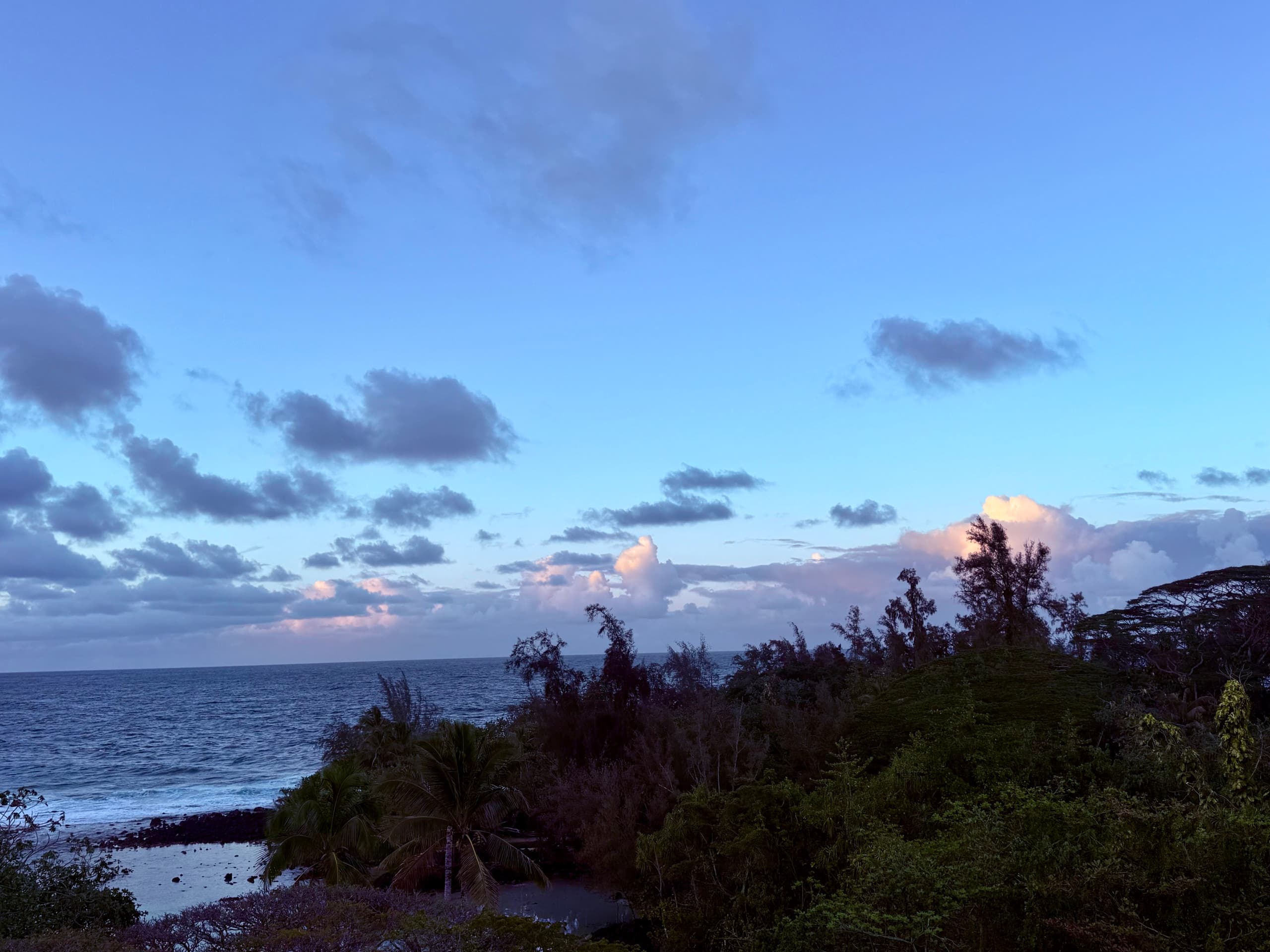 Tropical  Penthouse with Views - Mauna Loa shores - Image 18
